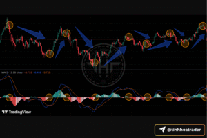MACD cho người mới: chỉ báo xu hướng – động lượng và chiến lược giao dịch Screenshot 2025 09 17 at 11.27.06