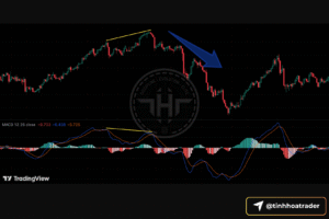 MACD cho người mới: chỉ báo xu hướng – động lượng và chiến lược giao dịch Screenshot 2025 09 17 at 11.27.43
