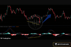 MACD cho người mới: chỉ báo xu hướng – động lượng và chiến lược giao dịch Screenshot 2025 09 17 at 11.28.10