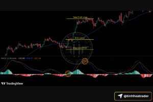 MACD cho người mới: chỉ báo xu hướng – động lượng và chiến lược giao dịch Screenshot 2025 09 17 at 11.28.44