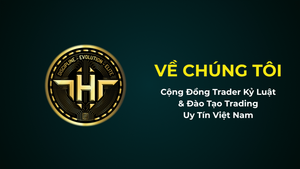 Về Tinh Hoa Trader - Cộng Đồng Trader Kỷ Luật & Đào Tạo Trading Uy Tín Việt Nam